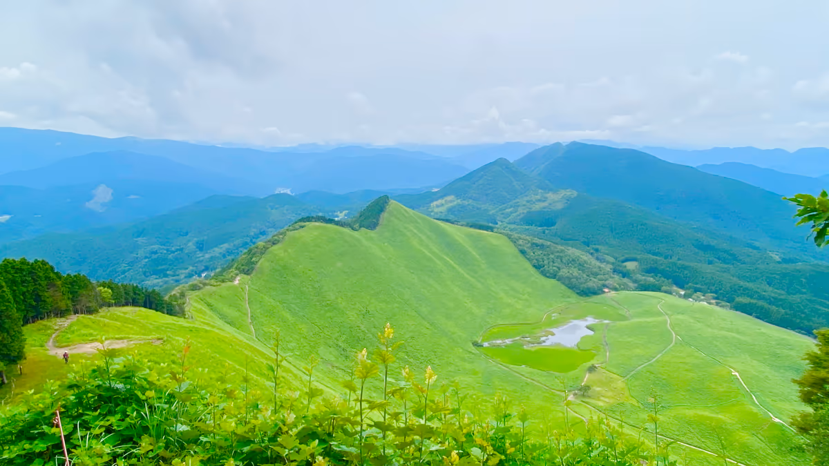 投稿写真：緑耀く✨曽爾高原