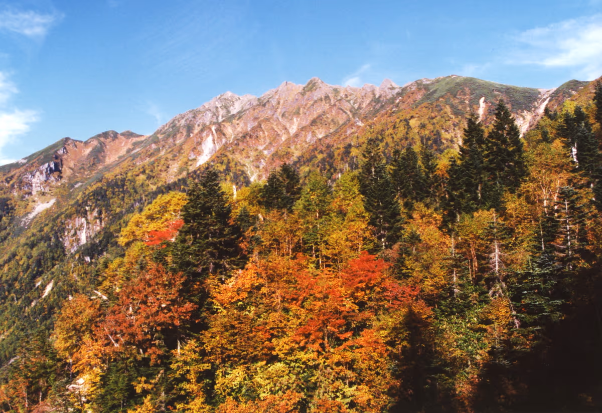 投稿写真：西穂高岳