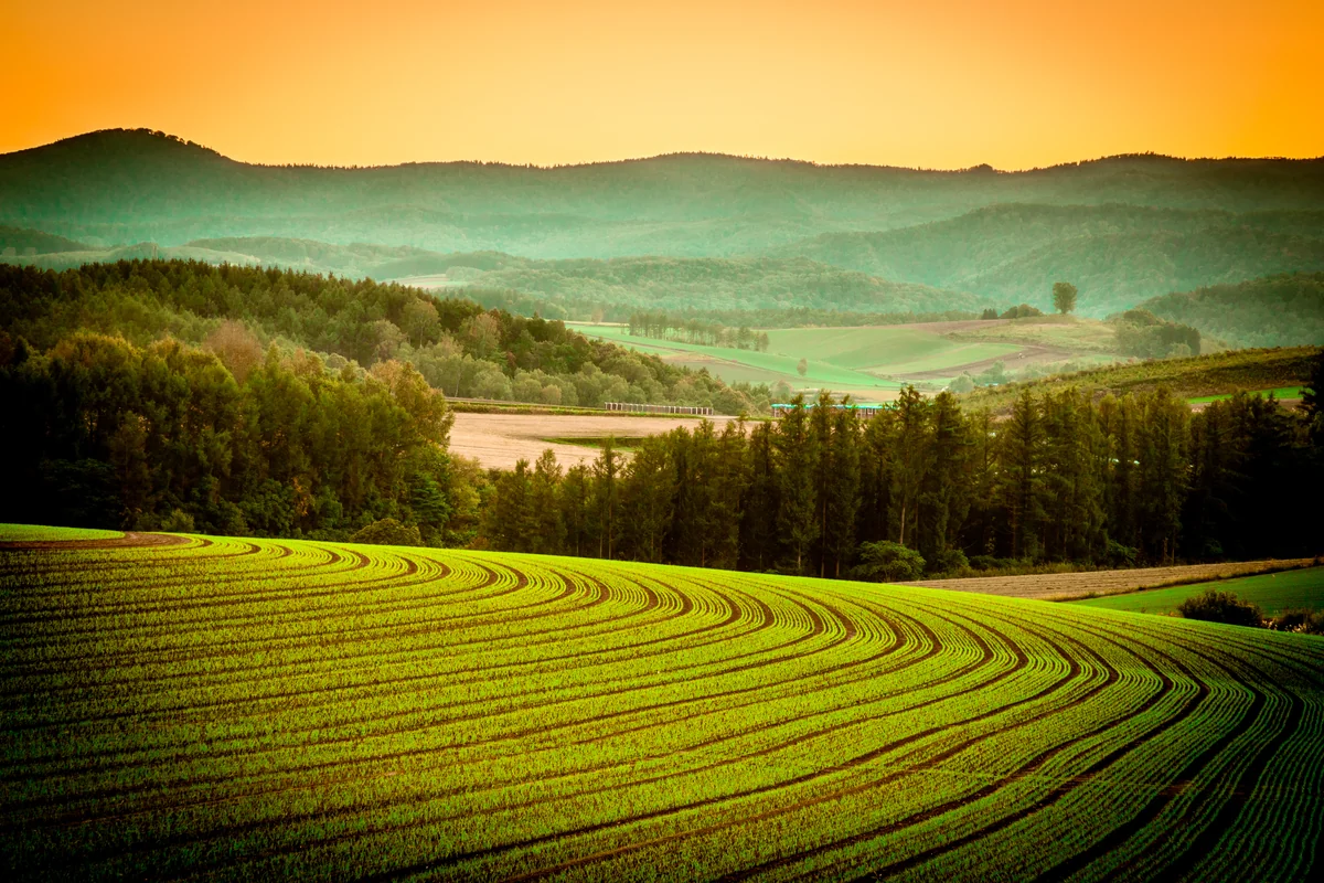 投稿写真：夕日で浮かび上がった曲線のシルエット