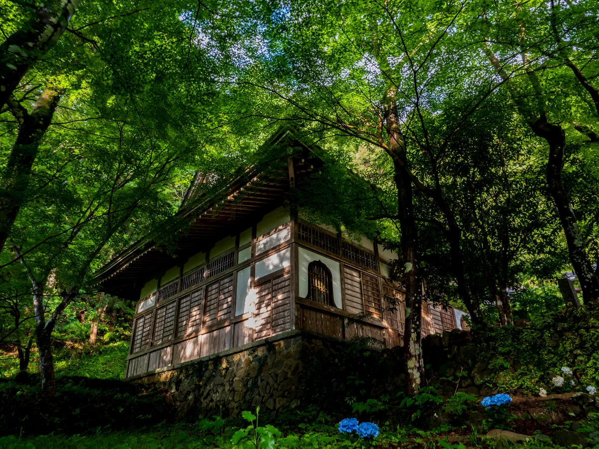 投稿写真：日が届きにくい大洞院のどこか