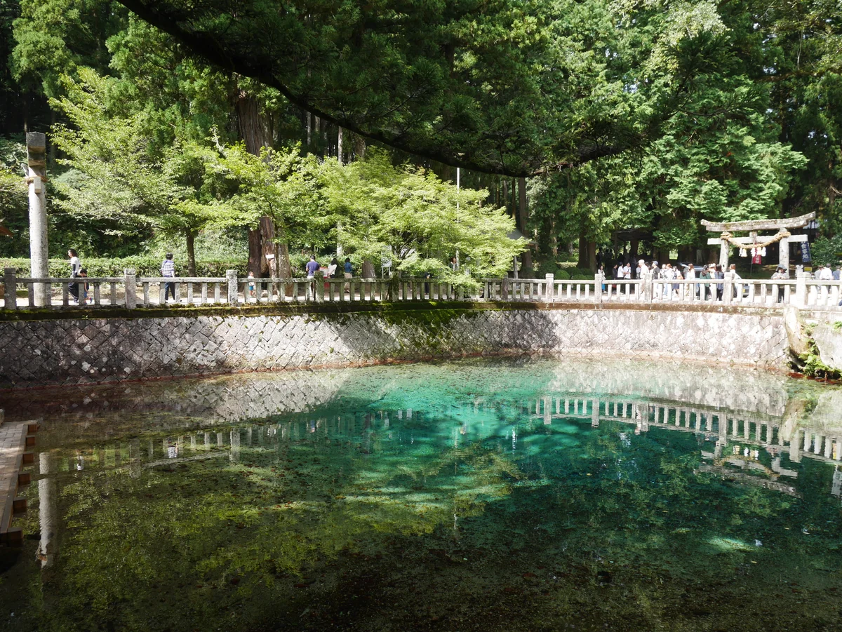 投稿写真：017別府弁天池（山口）