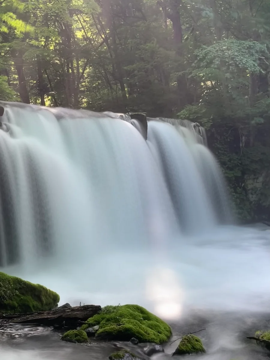 投稿写真：奥入瀬渓流