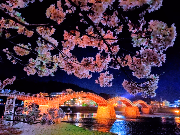 投稿：夜桜と錦帯橋