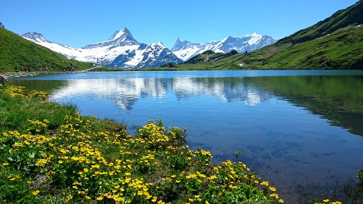 投稿写真：バッハアルプぜー
