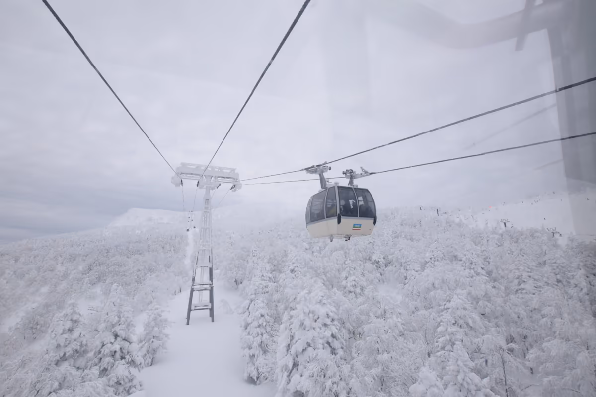 投稿写真：樹氷