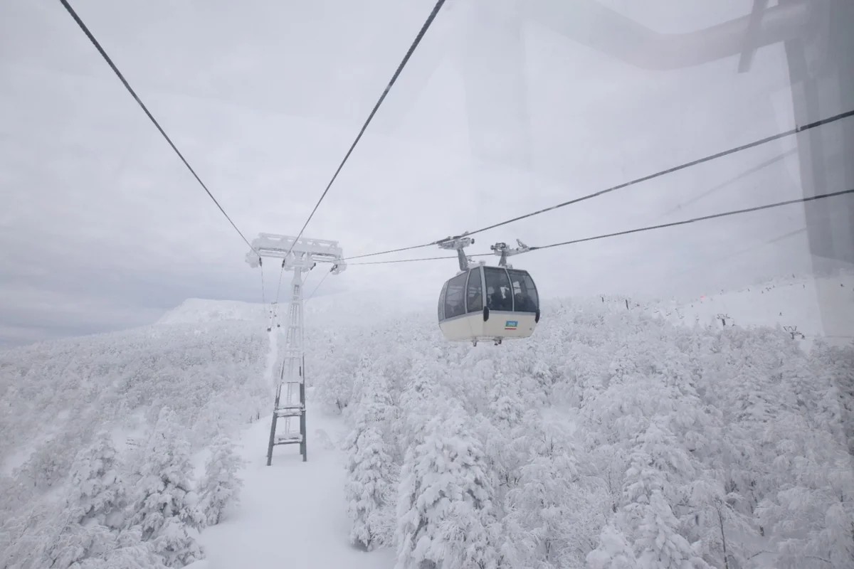 投稿写真：樹氷