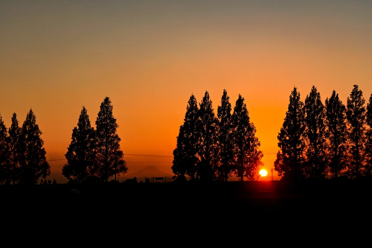 投稿写真：遥かに。。。。