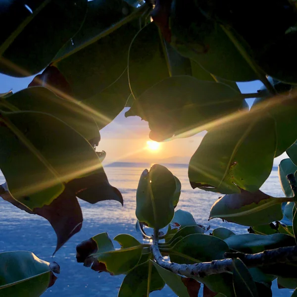 投稿：漂う静かな水面