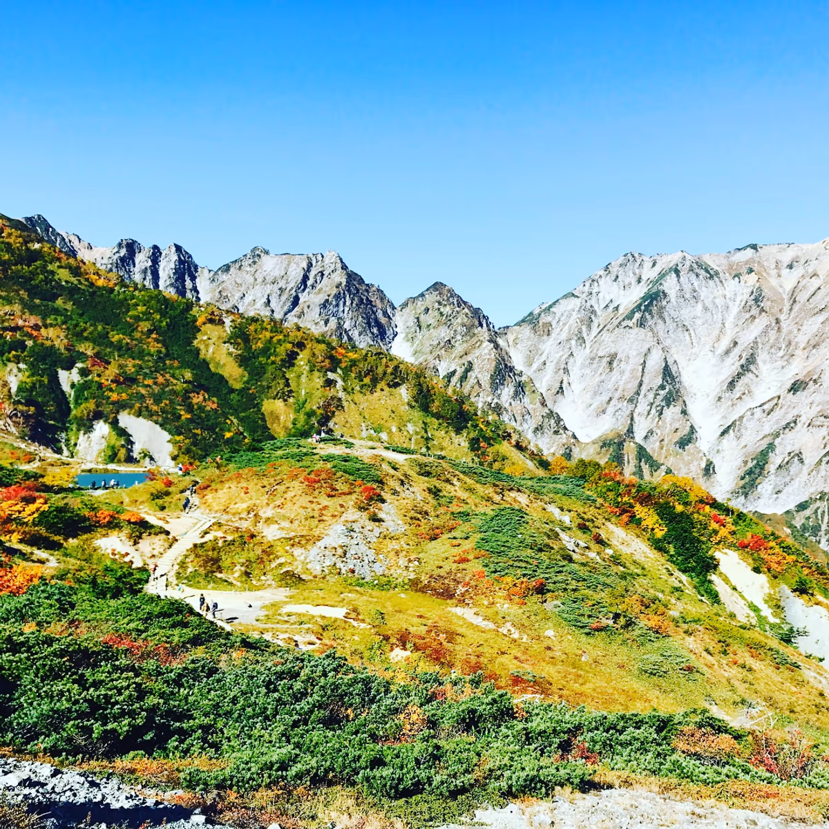 投稿写真：紅葉の八方池