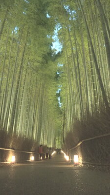  | 絶景事典