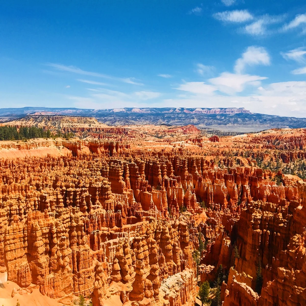 投稿写真：ブライスキャニオンのブードゥー達