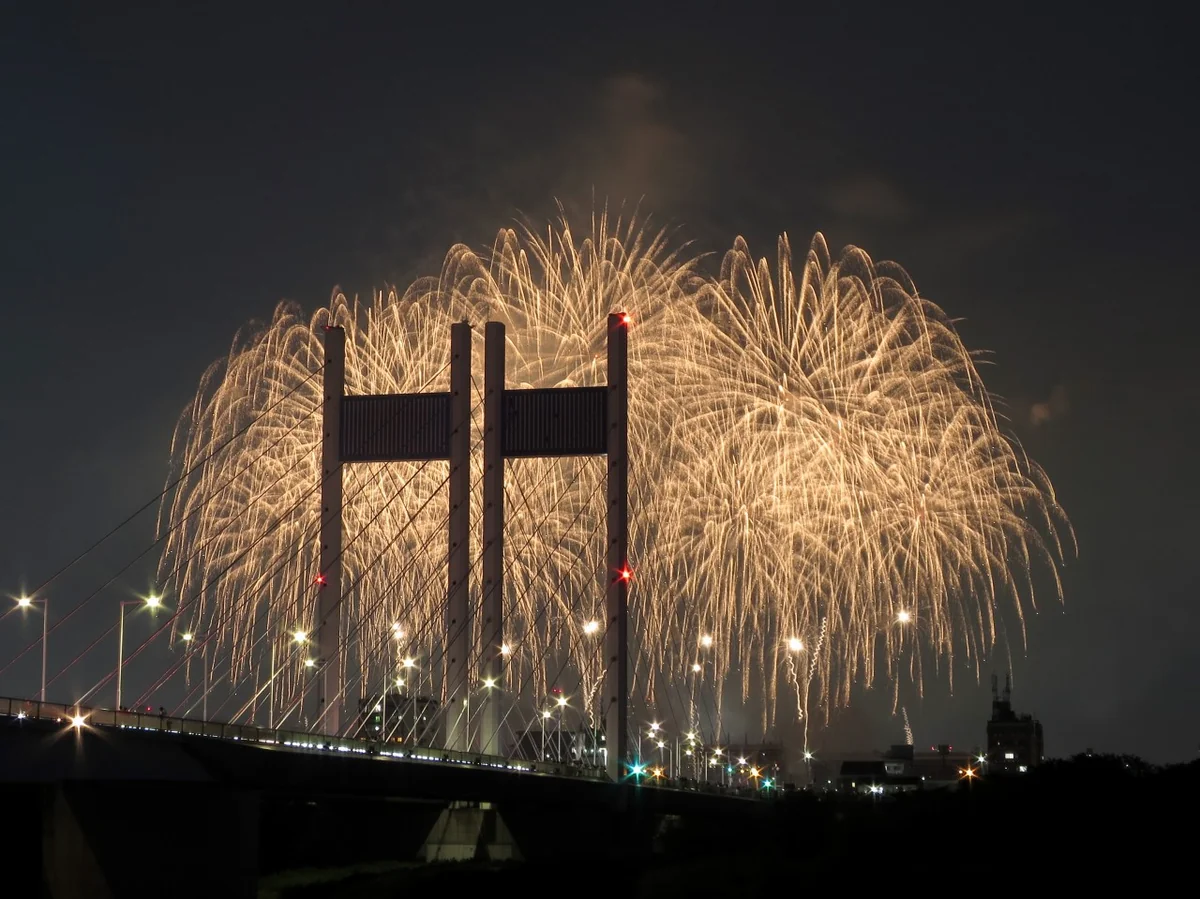 投稿写真：東京競馬場花火と斜張橋
