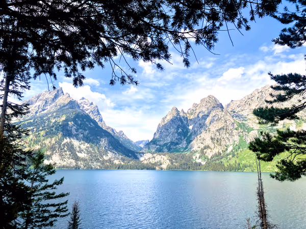 投稿：Grand Teton National Park