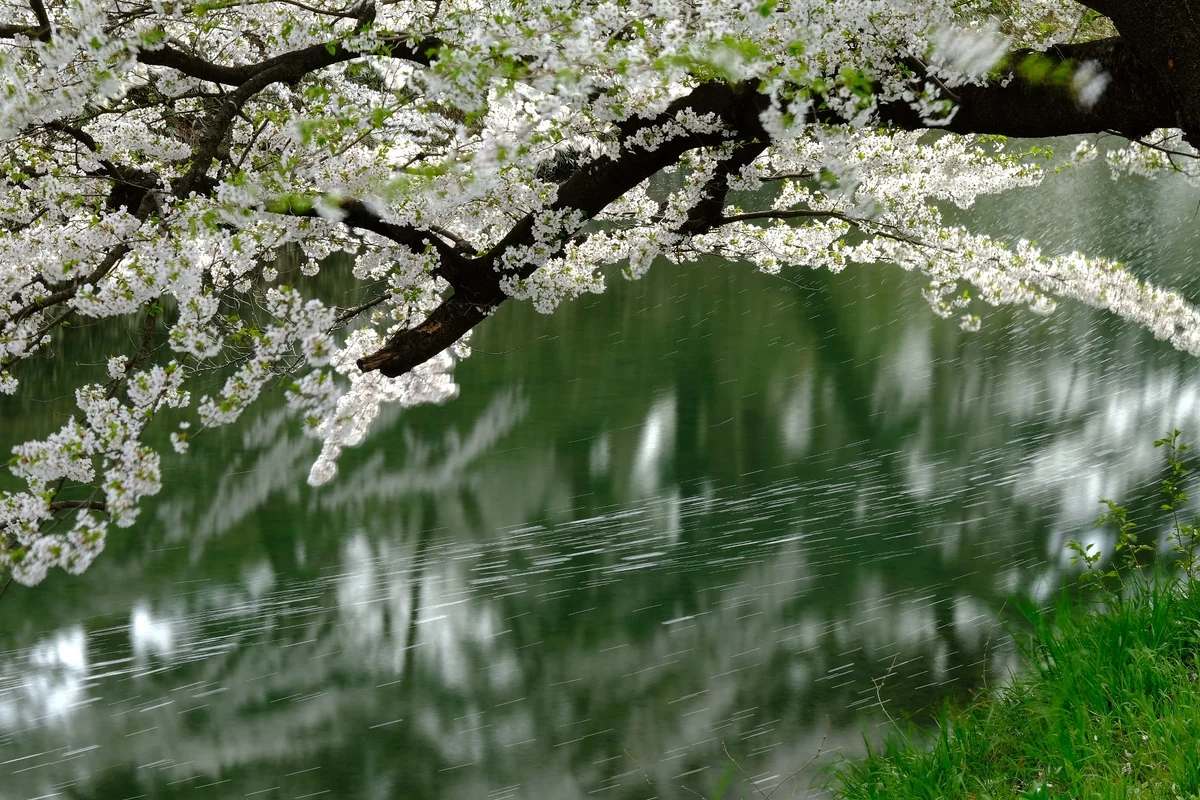 投稿写真：時の流れ