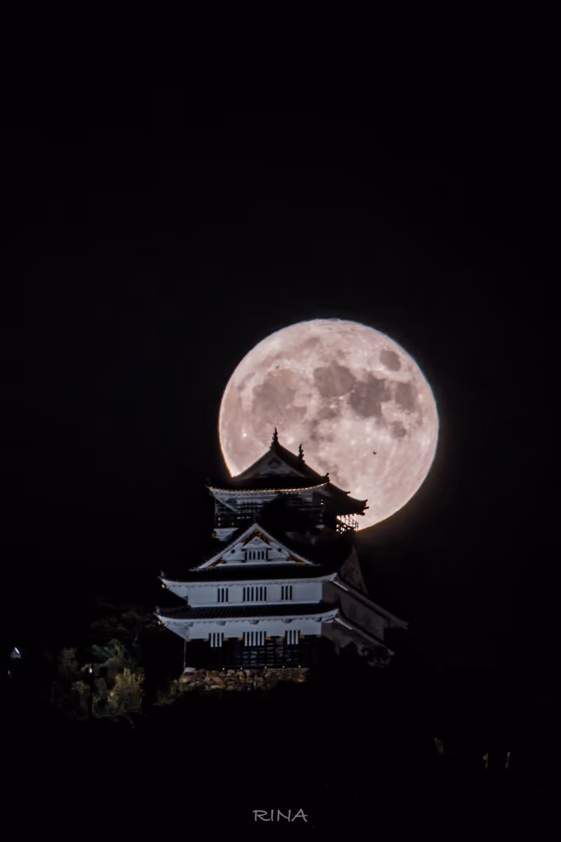 mori_mori.rincoさんの投稿写真