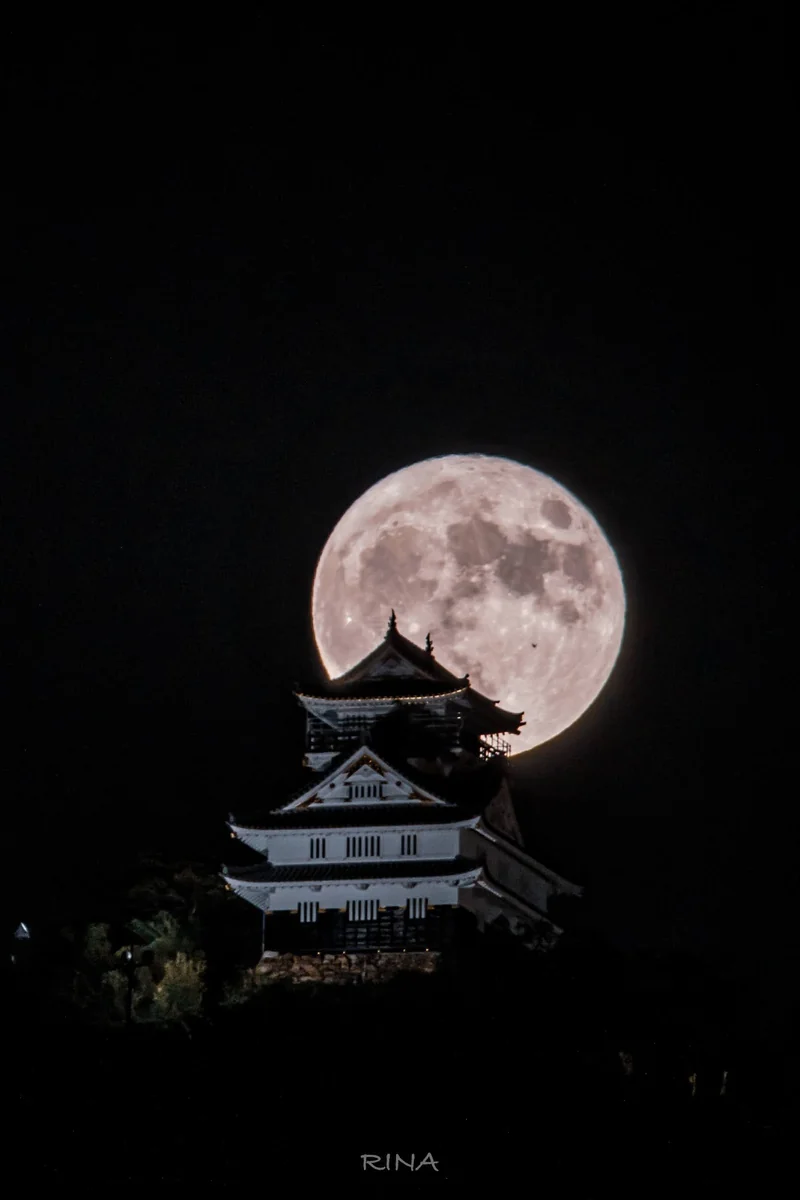 mori_mori.rincoさんの投稿写真