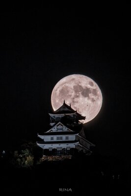  | 絶景事典