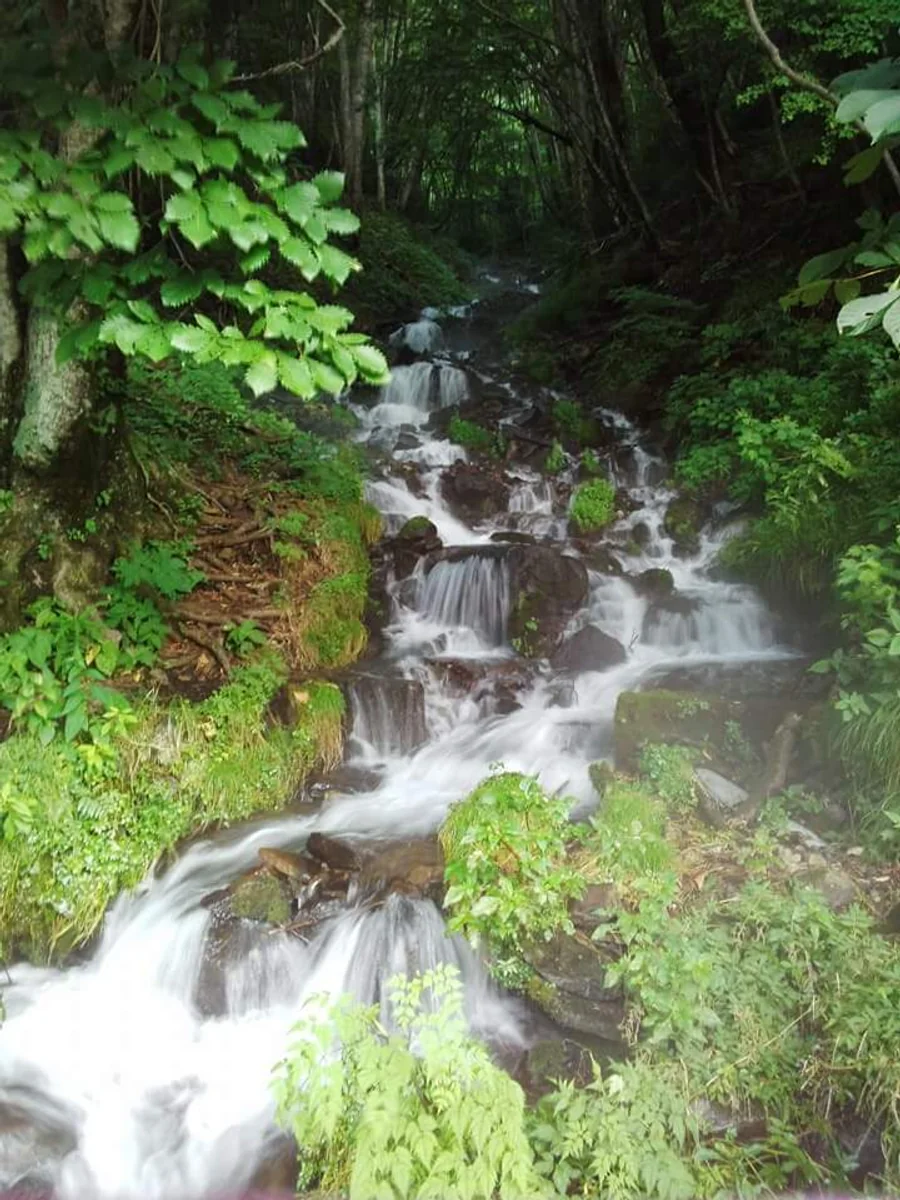 投稿写真：清流