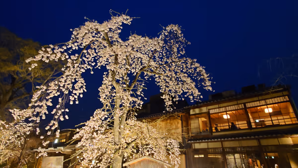 投稿：祇園白川