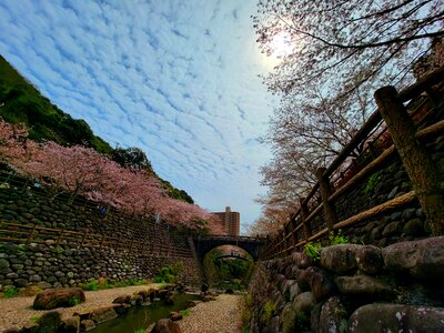  | 絶景事典