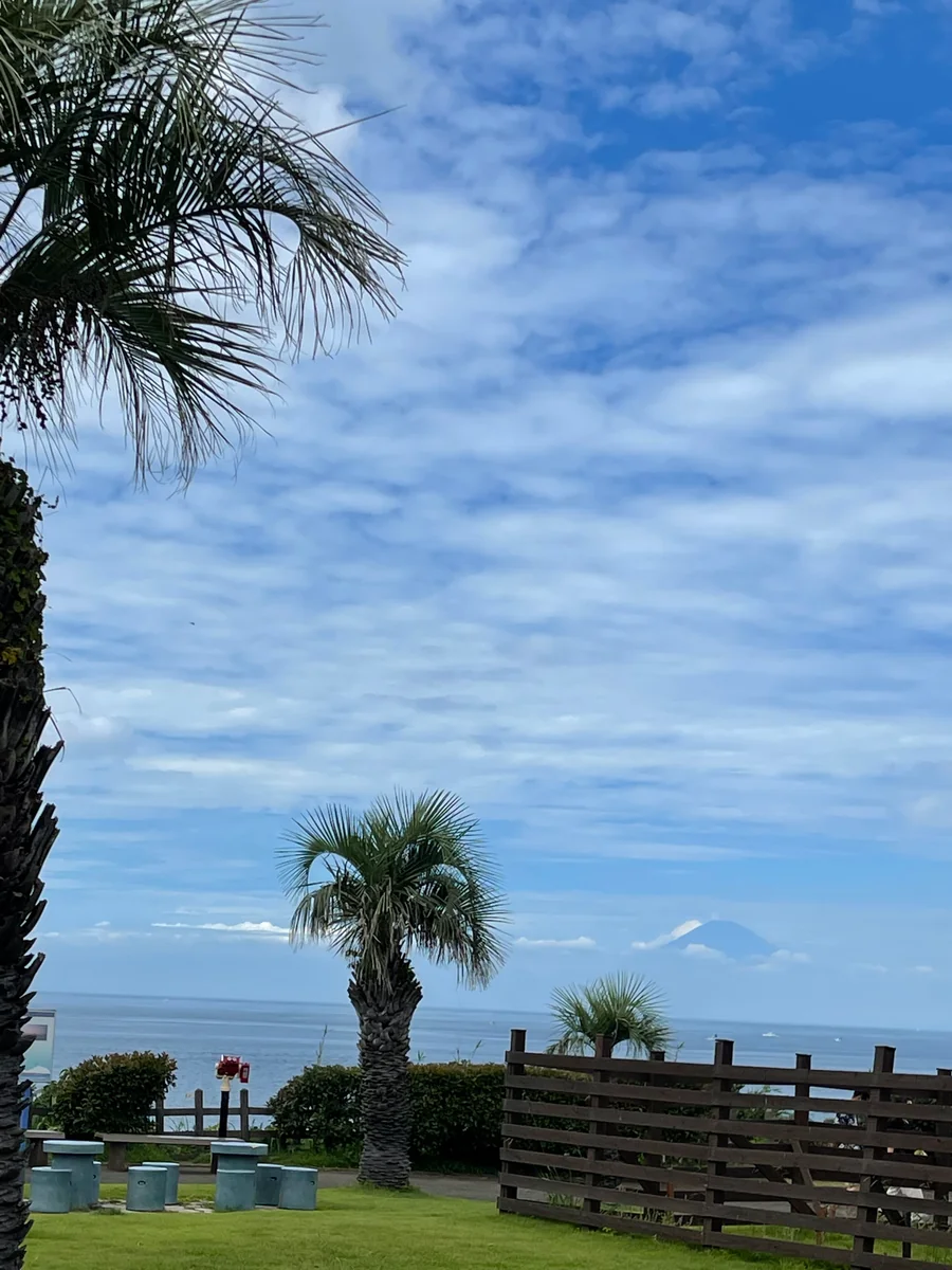投稿写真：油壺マリンパーク
