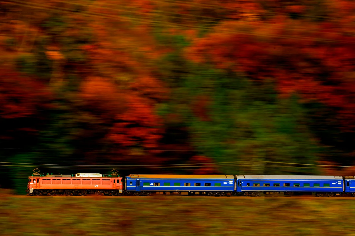 投稿写真：秋を走る