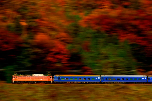 投稿：秋を走る