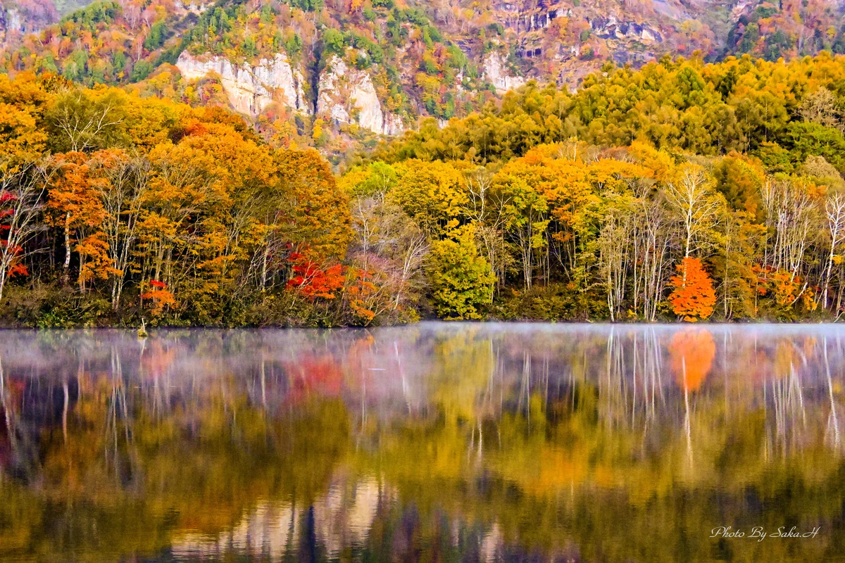 投稿写真：静寂