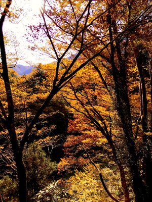 | 絶景事典