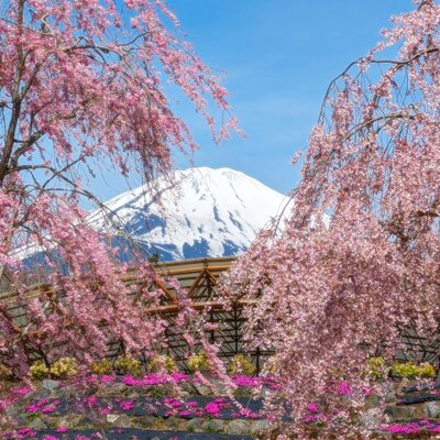  | 絶景事典