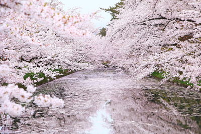  | 絶景事典