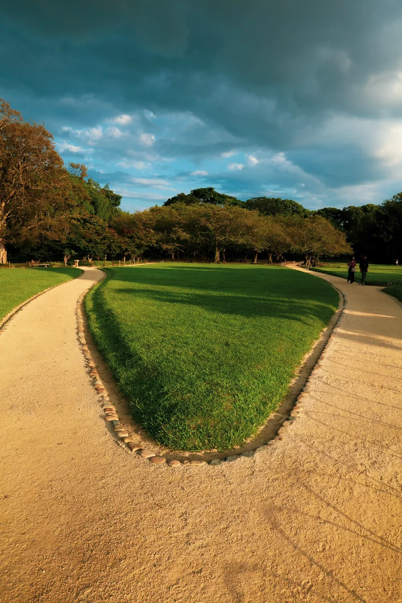 投稿写真：道 芝生 道