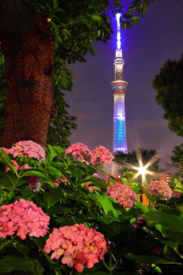  | 絶景事典