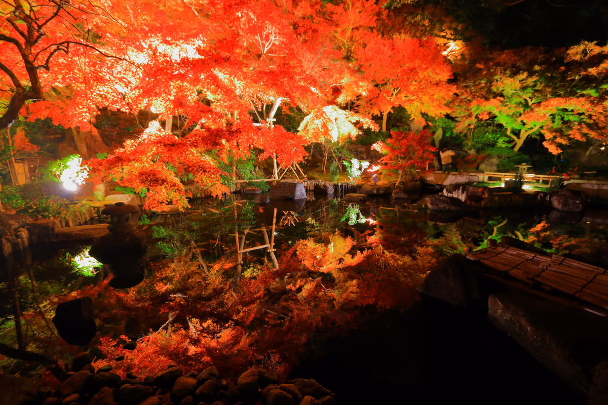 投稿写真：水面に紅葉