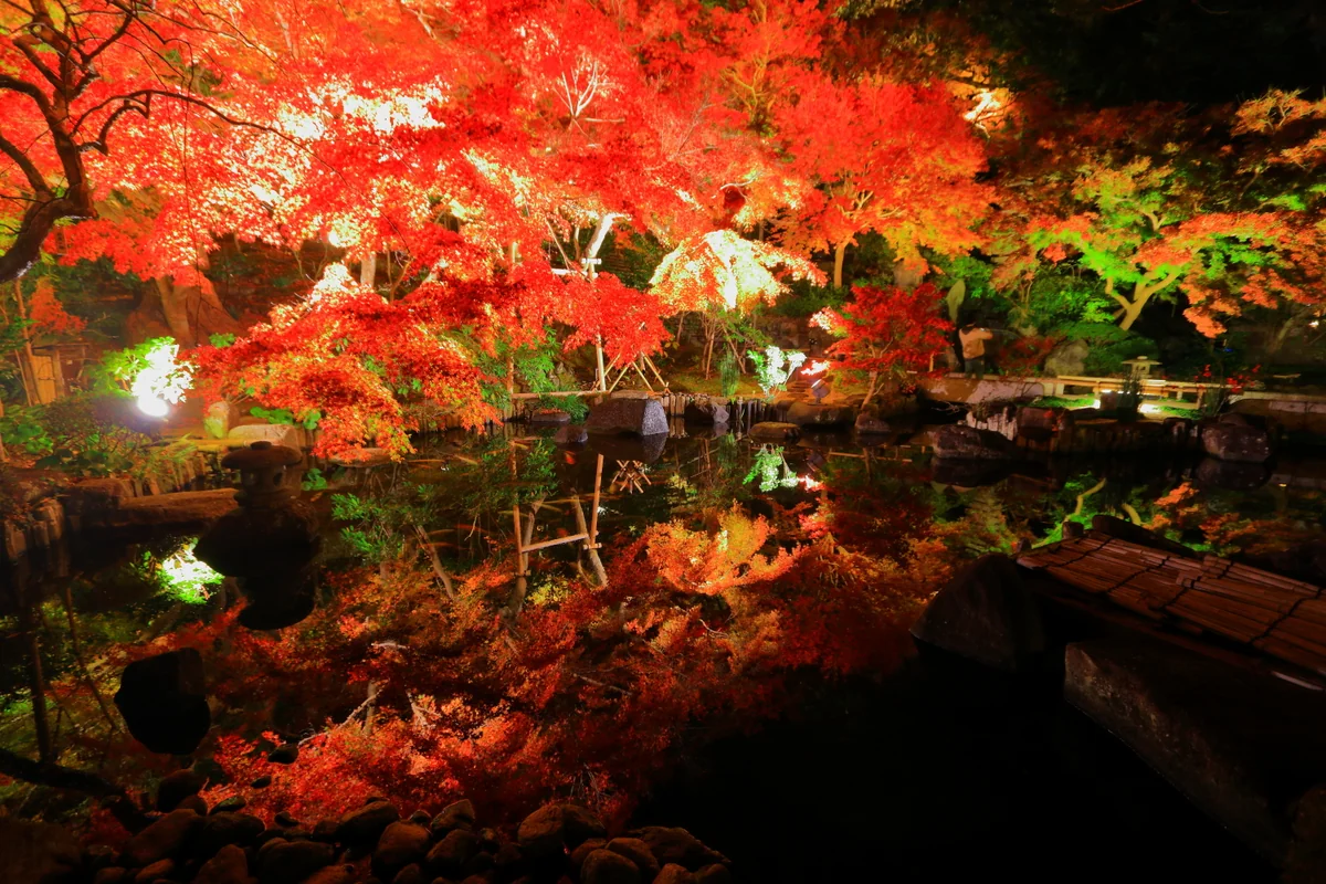 投稿写真：水面に紅葉