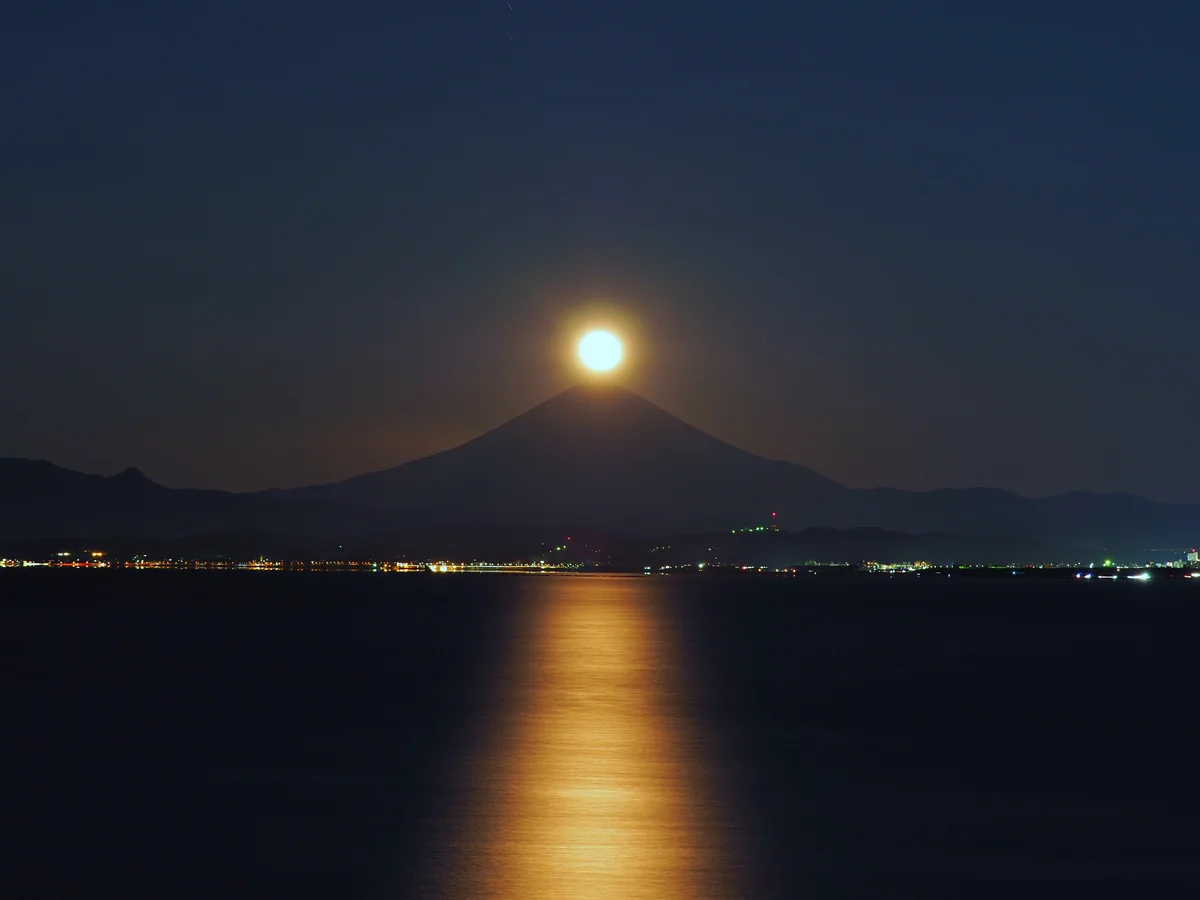 Janeさんの投稿写真