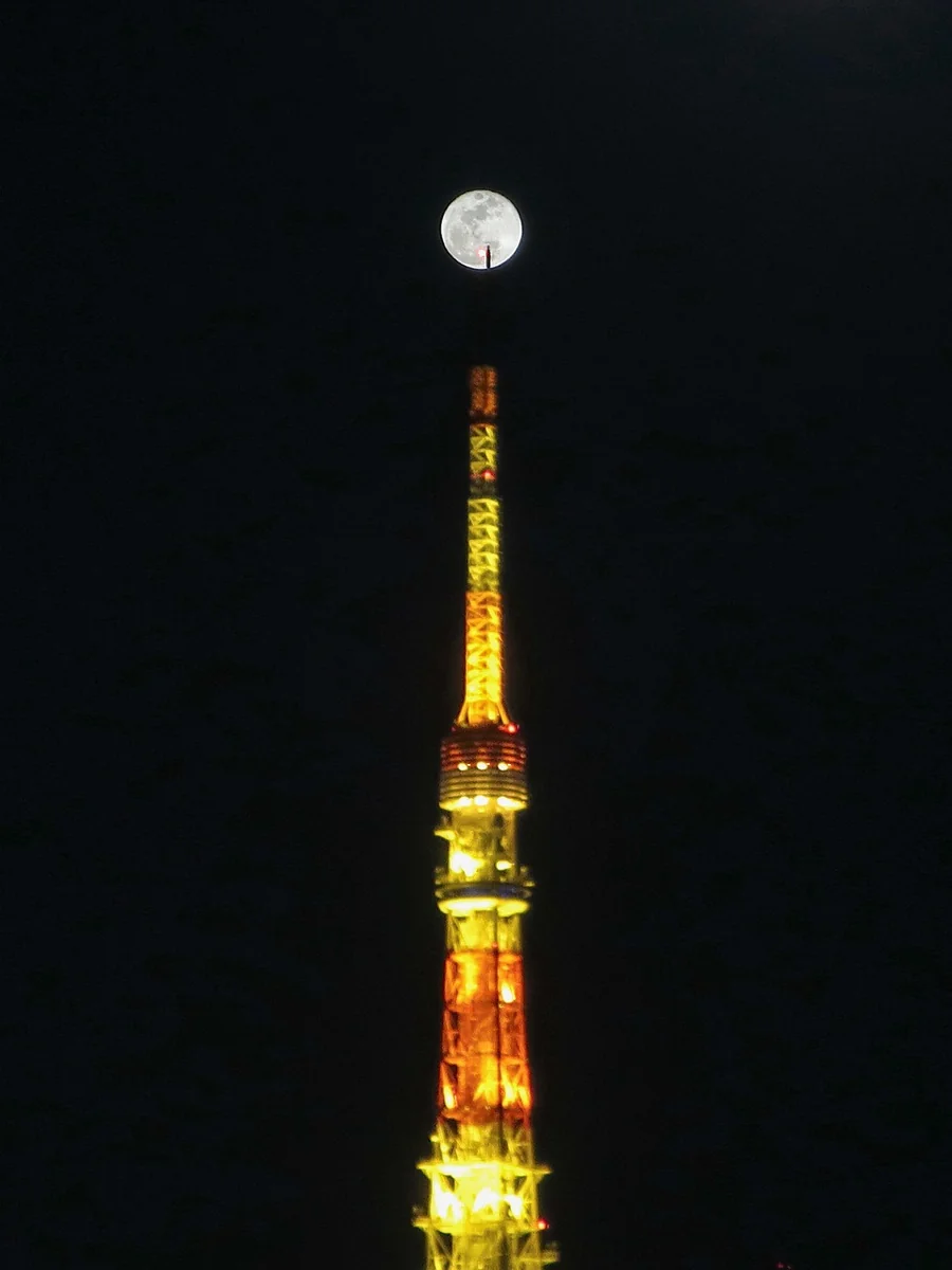 投稿写真：十六夜月パール東京タワー