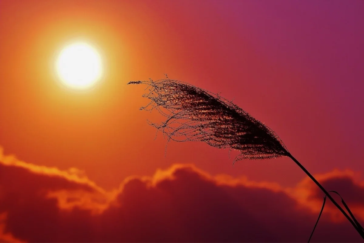 投稿写真：渡嘉敷島 夕陽