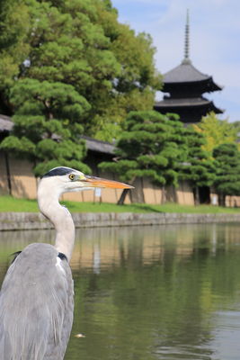  | 絶景事典
