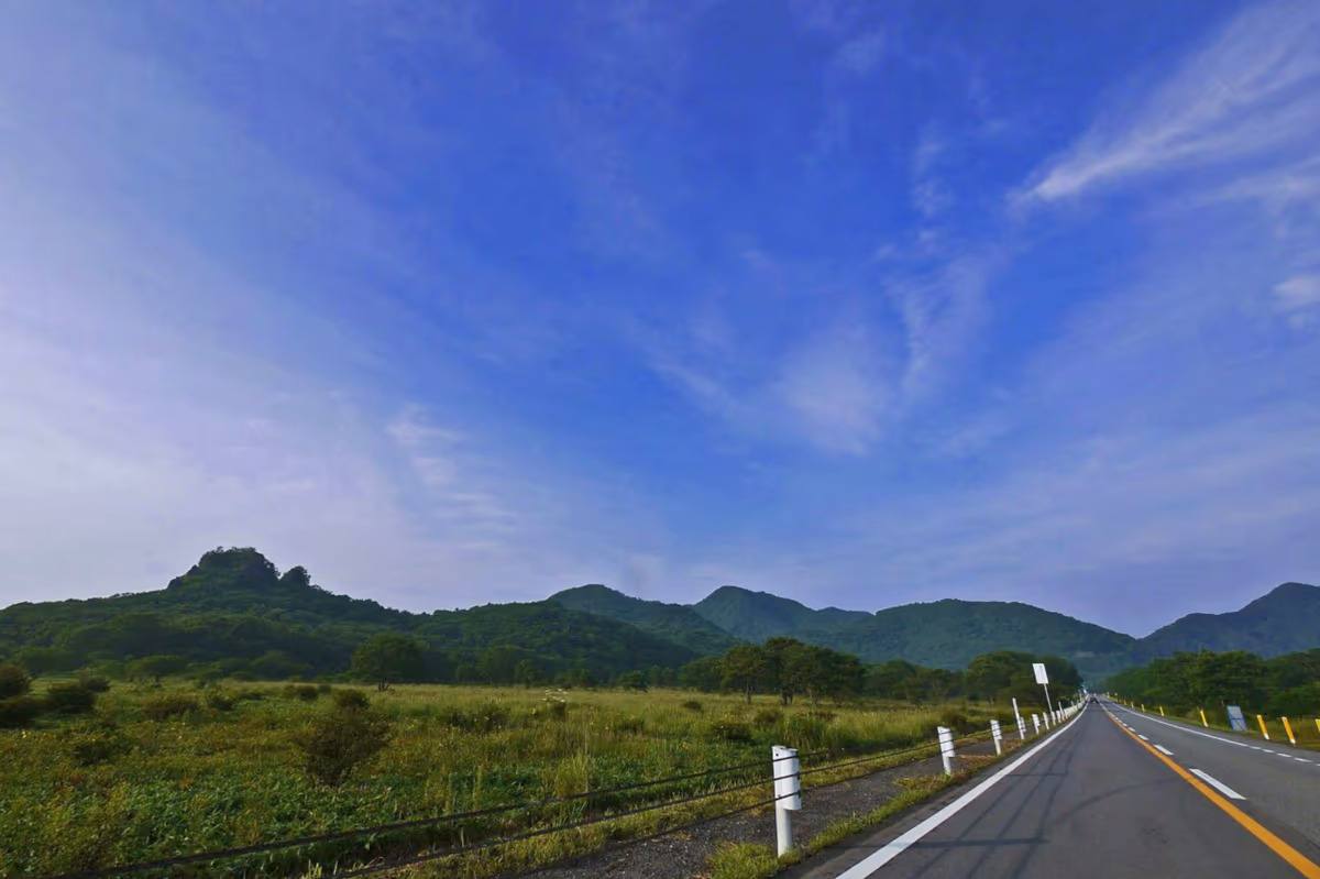 投稿写真：好きな道