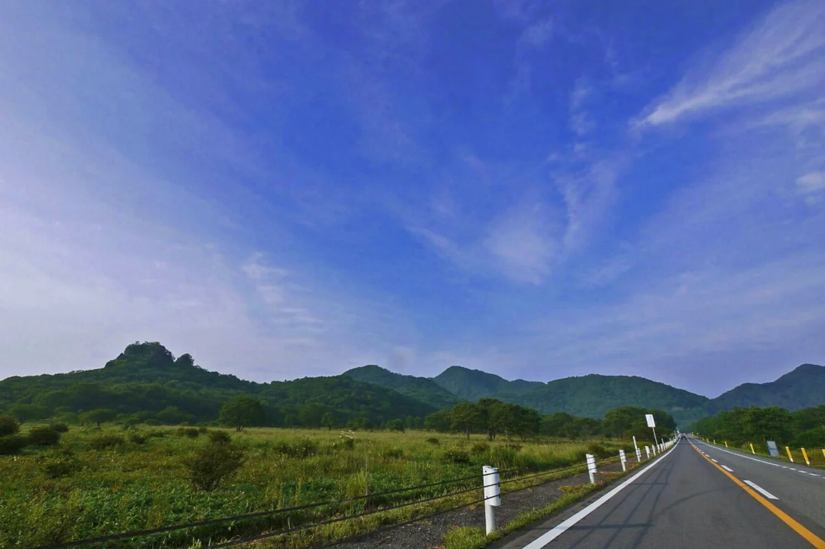 投稿写真：好きな道