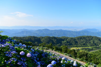  | 絶景事典