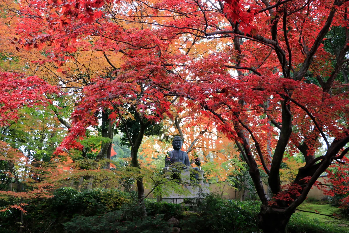 投稿写真：極楽浄土