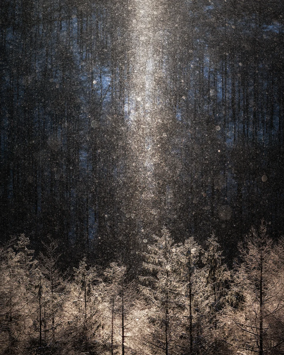 投稿写真：ダイヤモンドダスト