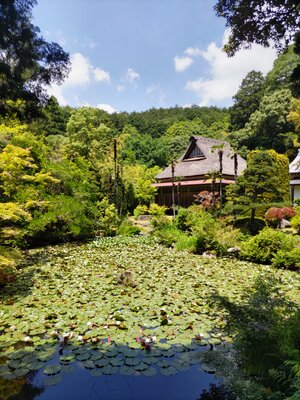  | 絶景事典