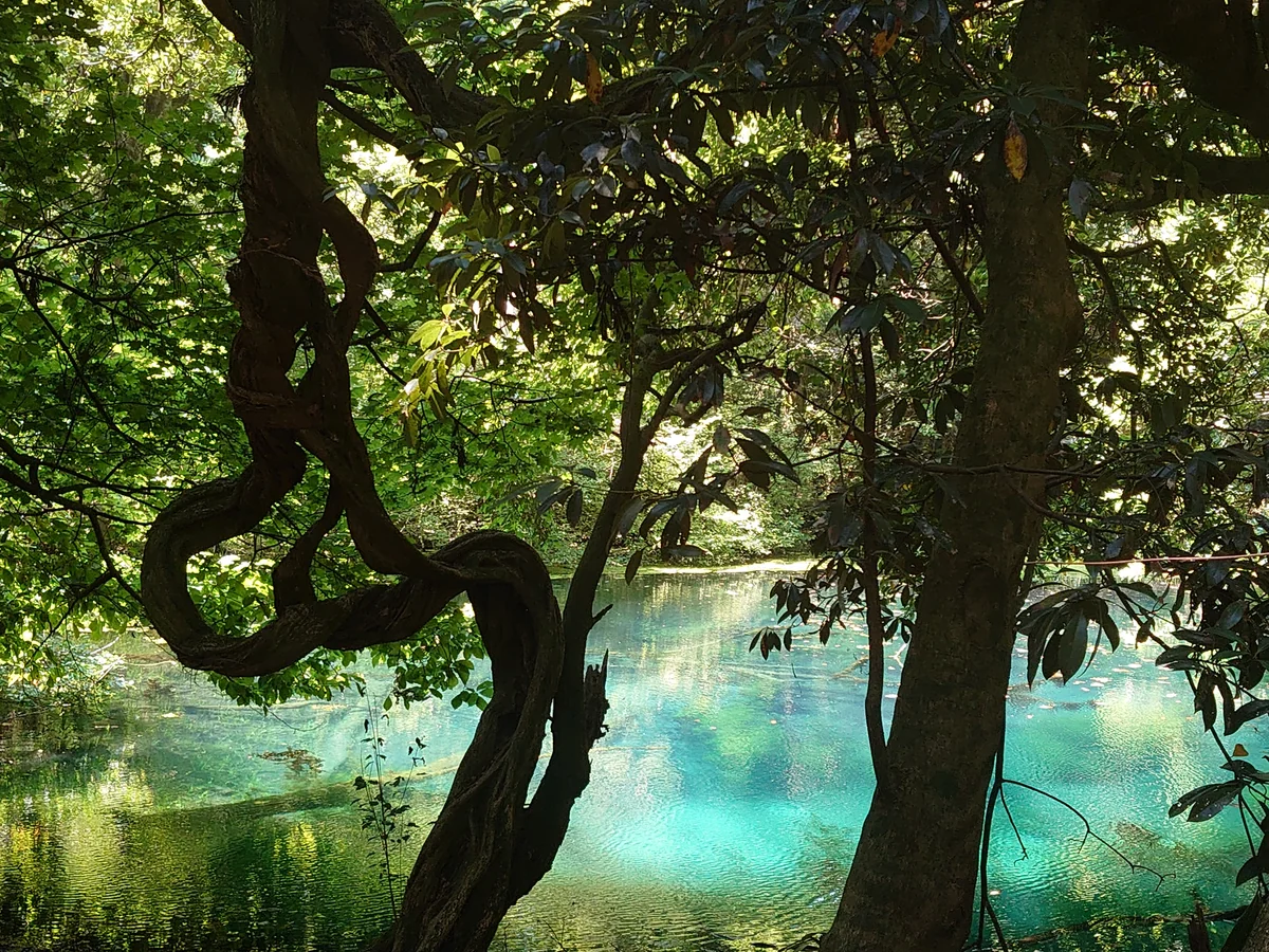 投稿写真：神秘の泉