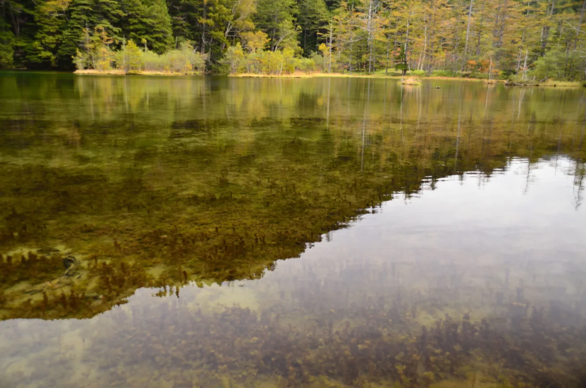 投稿写真：上高地　秋の景色