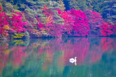  | 絶景事典