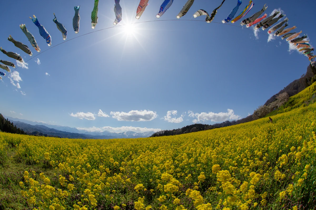 shinnsyu oyajiさんの投稿写真
