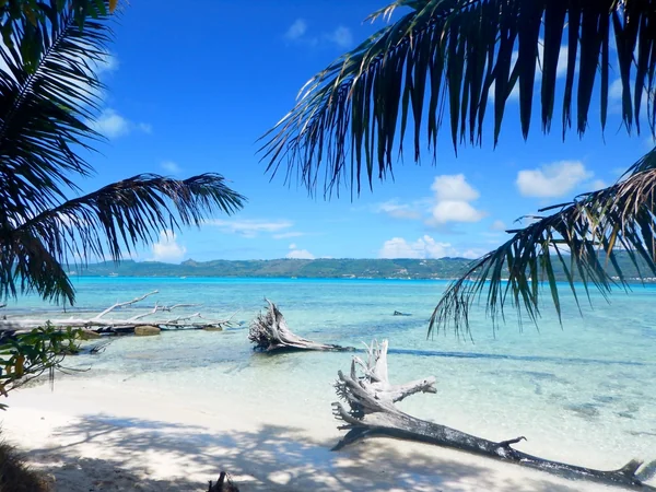 投稿：サイパン